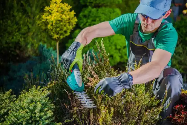 landscaping services Island